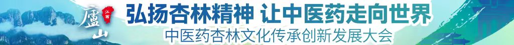 大鸡巴干女人小B在线高清视频中医药杏林文化传承创新发展大会